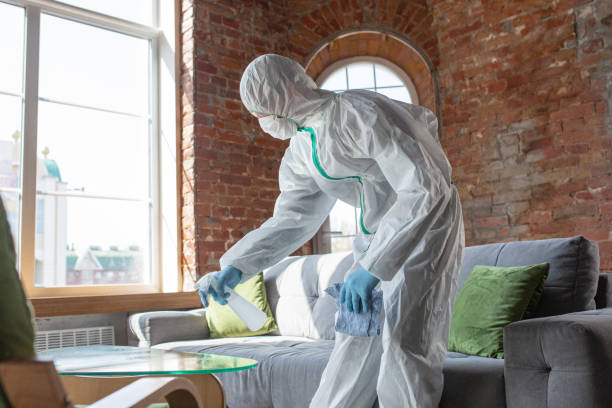 Best Industrial Mold Remediation  in Cheboygan, MI